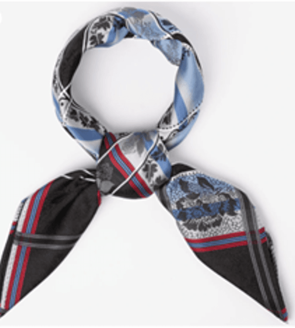 Hovedbilde Eufemia Silkesjal 6